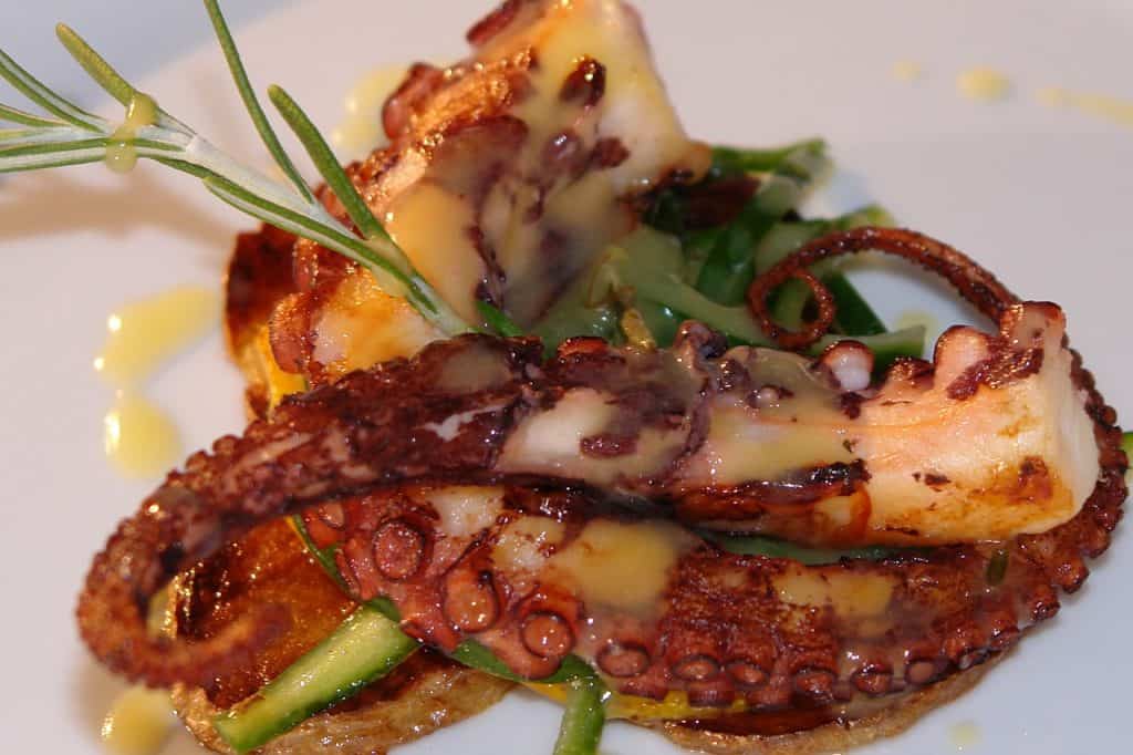 seafood, octopus, sea-2408849.jpg