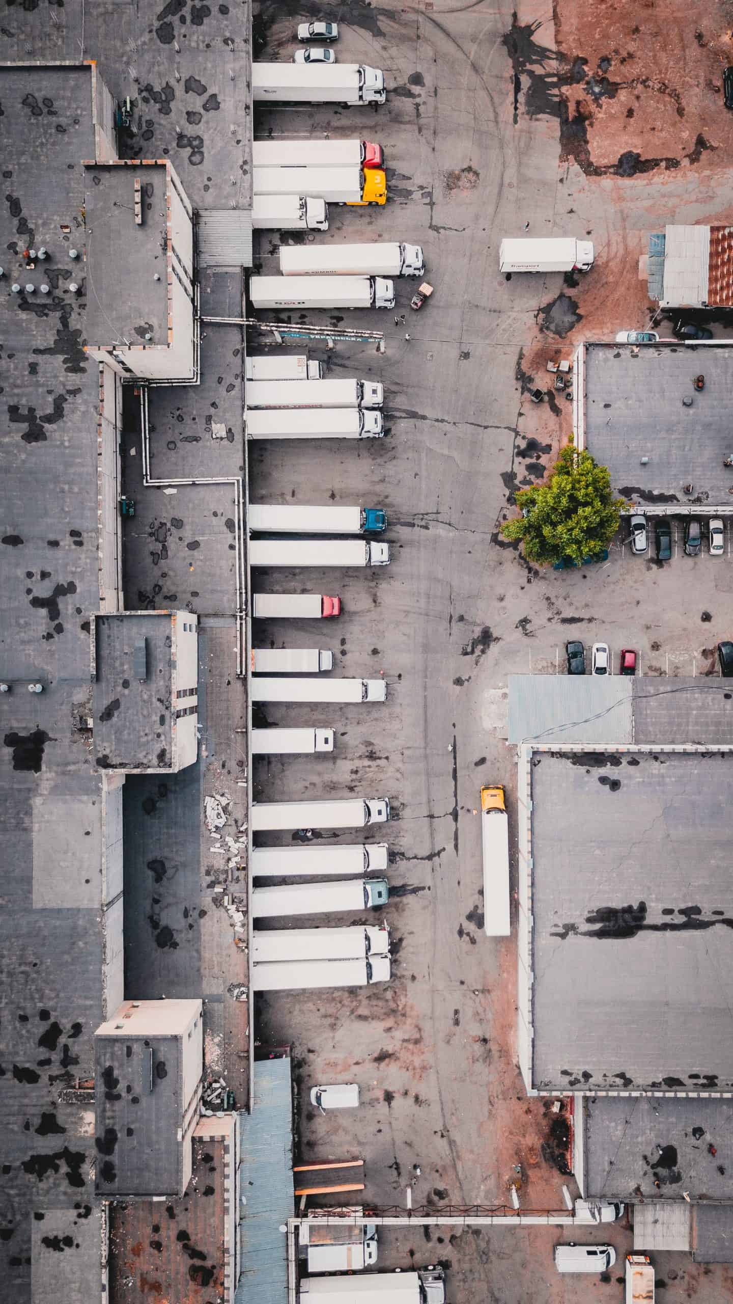 Should You Buy or Rent a Truck for Your Business